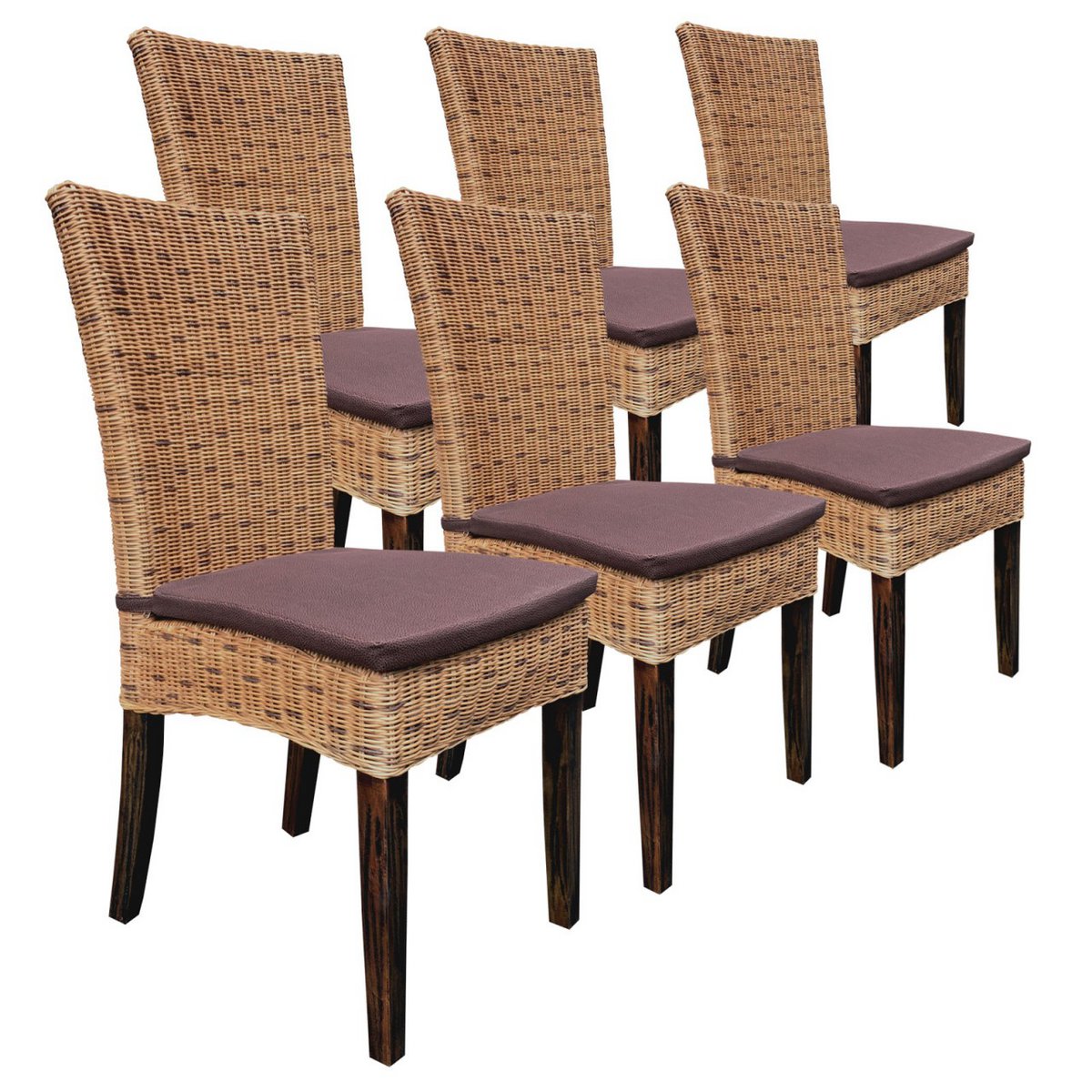 Eetkamerstoelen set 6 -delige rattan stoelen wintertuin gangen cardine cabana