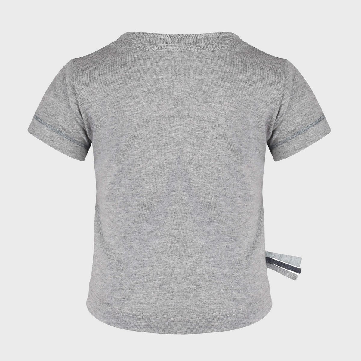 OrganicEra Biologisch baby S/S T-shirt, grijs