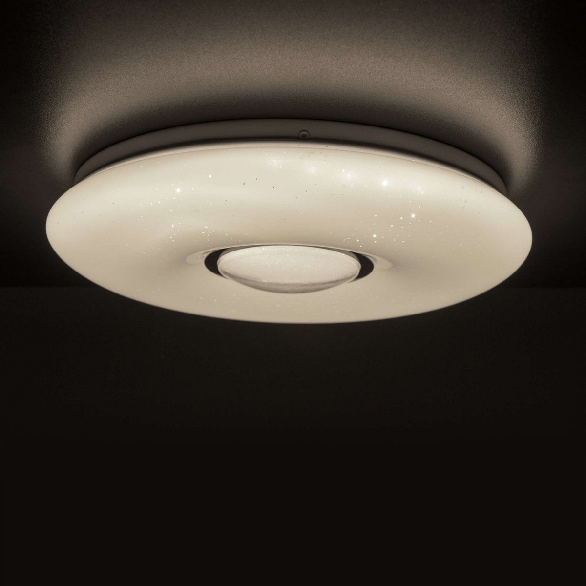 LED plafondlamp D. ca. 50cm "Picton"