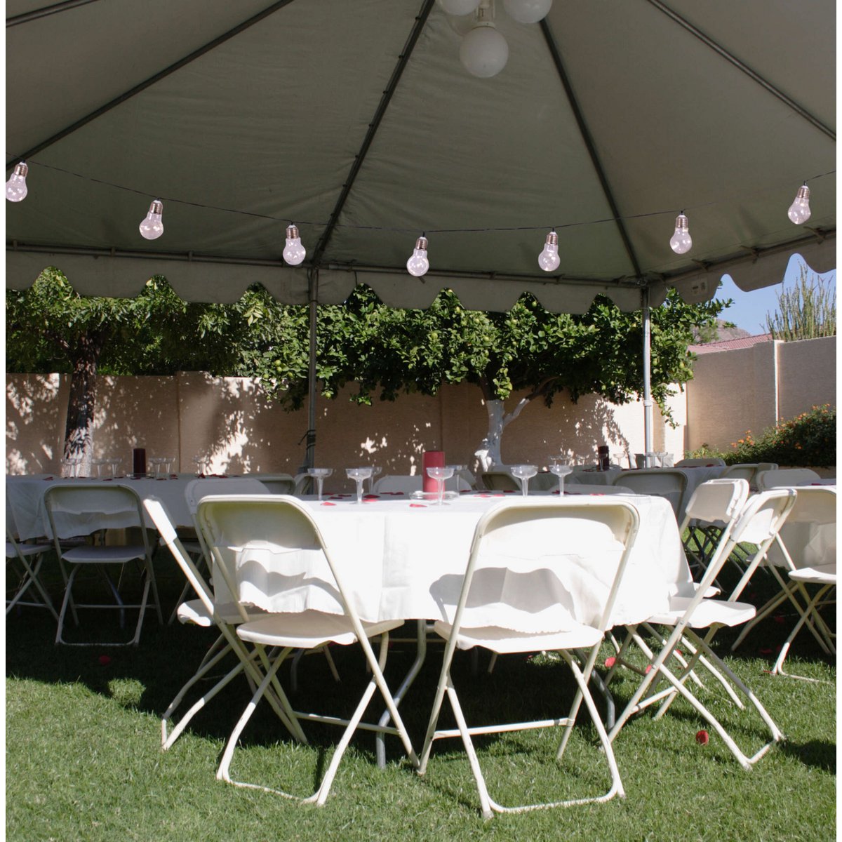 LED/zonne -lichte keten "gloeilamp", voor buiten, plastic lichte keten, helder/transparant, met geïntegreerde LED