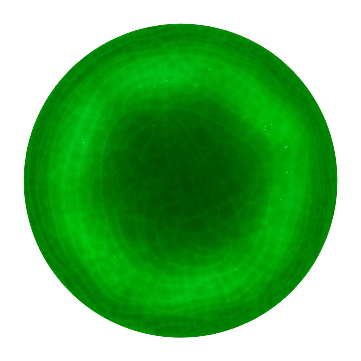 LED plafondlamp "Sligo" d:38cm