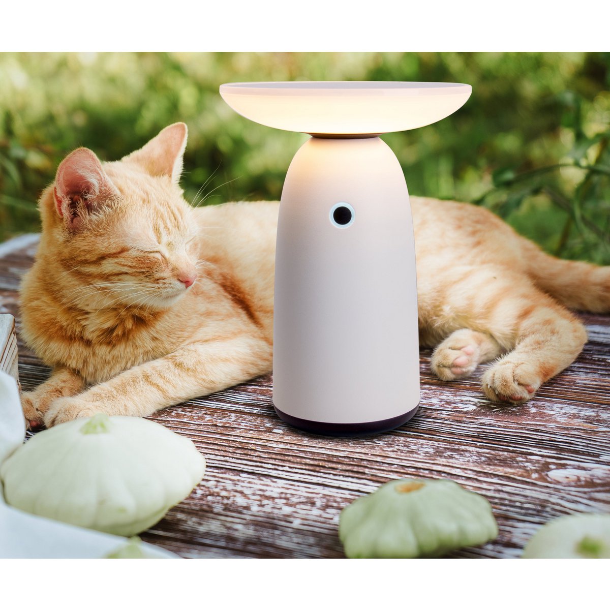 LED Solar Lamp "ADA" Wit voor de externe LED -tafellamp gemaakt van metaal en plastic, met stevig geïnstalleerde LED's, zonnelamp 22,5 x 16 cm