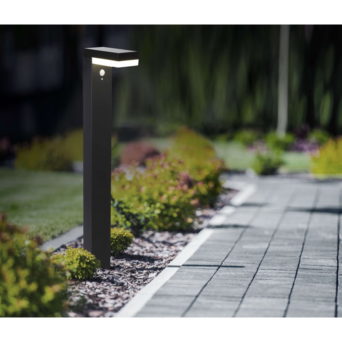 LED Solar Outdoor Base Light "Filius" H: 50 cm, gemaakt van metaal en plastic in antraciet, met geïntegreerde LED