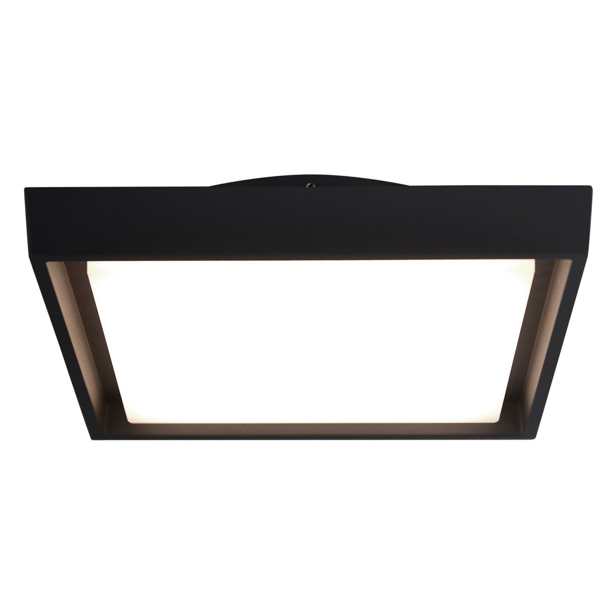 LED Buiten plafondlicht IP54 "MIO" S: 34 cm
