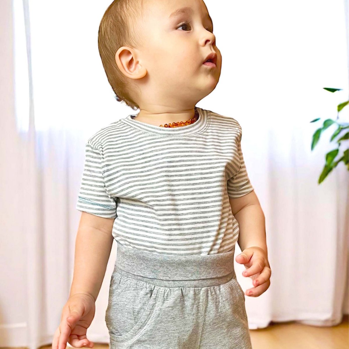 OrganicEra biologische babyshort, grijs