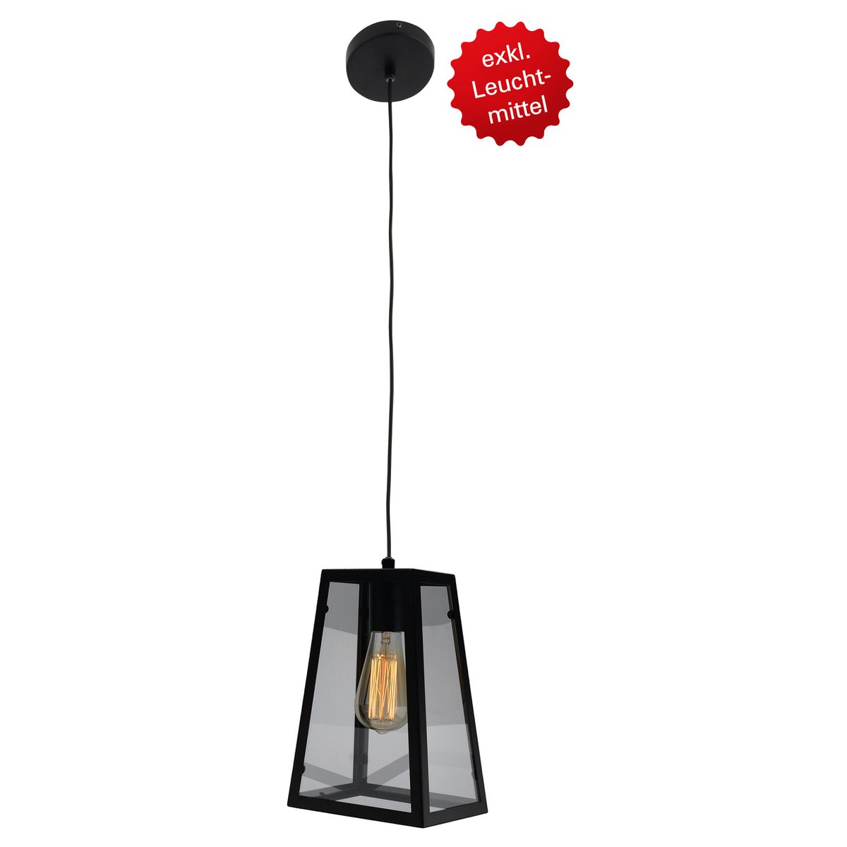 Metalen hanglamp "Alex"