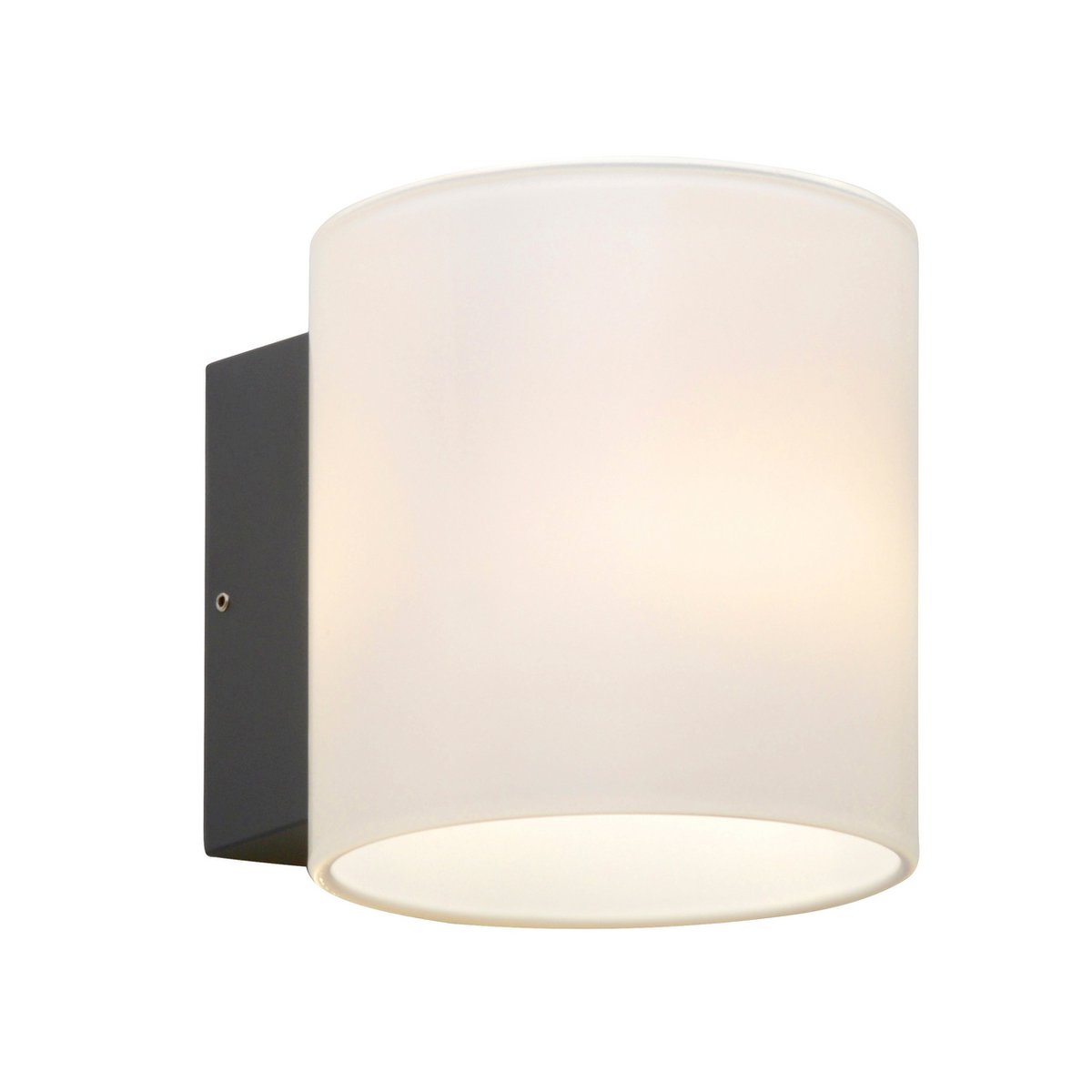 LED buiten wandlamp "Narbo"