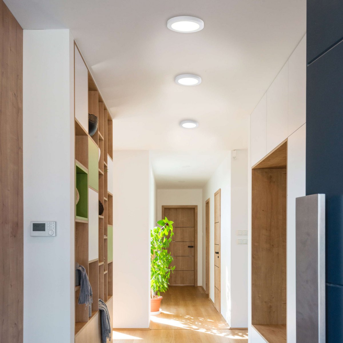 LED -plafondlicht "bonus" Ø: 17 cm