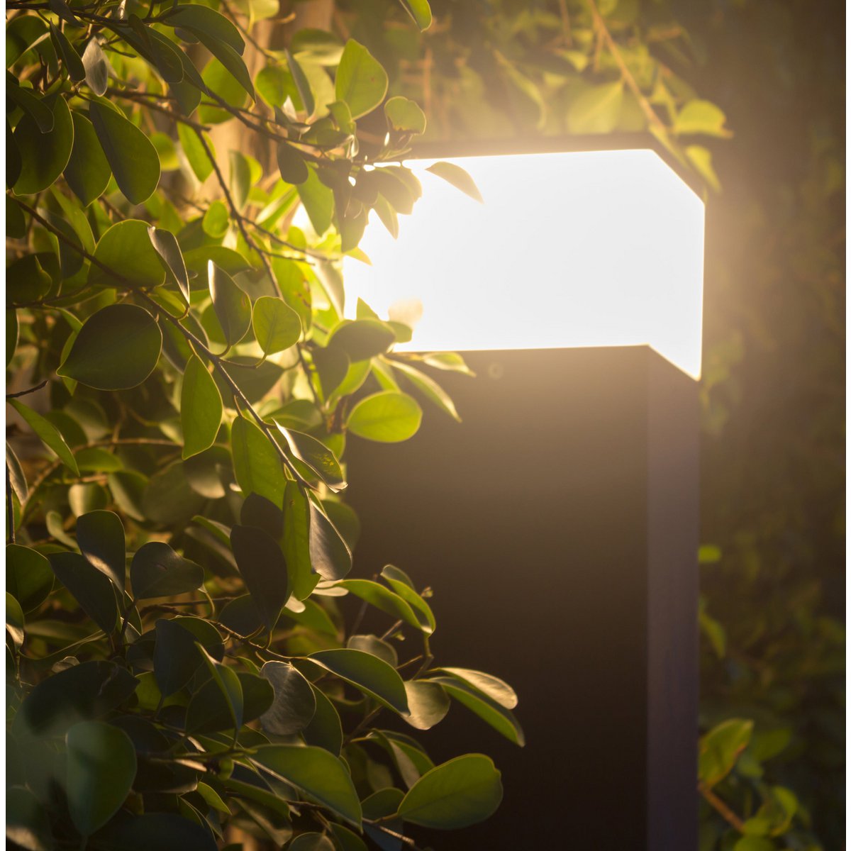 LED Buiten rokken "Vigo" gemaakt van metaal en plastic in antraciet, met geïntegreerde LED, padlicht