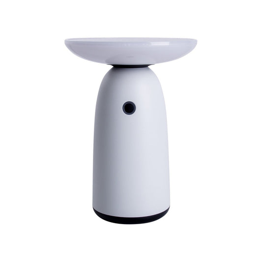 LED Solar Lamp "ADA" Wit voor de externe LED -tafellamp gemaakt van metaal en plastic, met stevig geïnstalleerde LED's, zonnelamp 22,5 x 16 cm