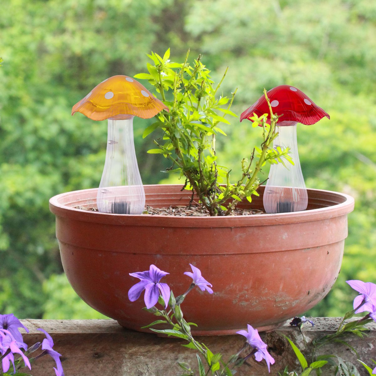 Zonne -decoratieve spiesjes zetten "mantar" Ø 13 cm, 29 cm hoog, transparant plastic in rood, geel en heldere, geïntegreerde LED's, koud wit "