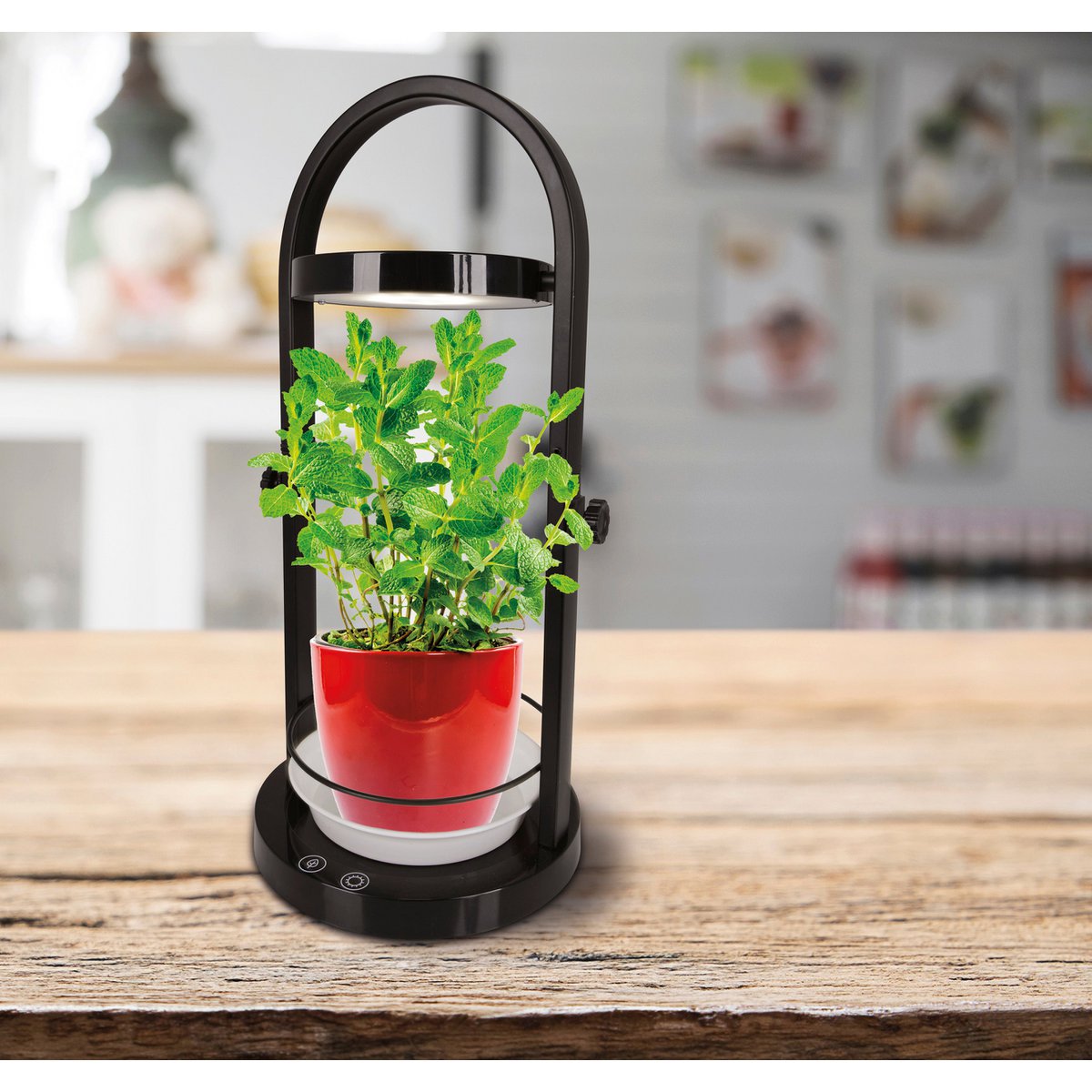 LED -plantentablet Licht 53,5 cm hoog, gemaakt van metaal en plastic in het zwart, met geïntegreerde LED