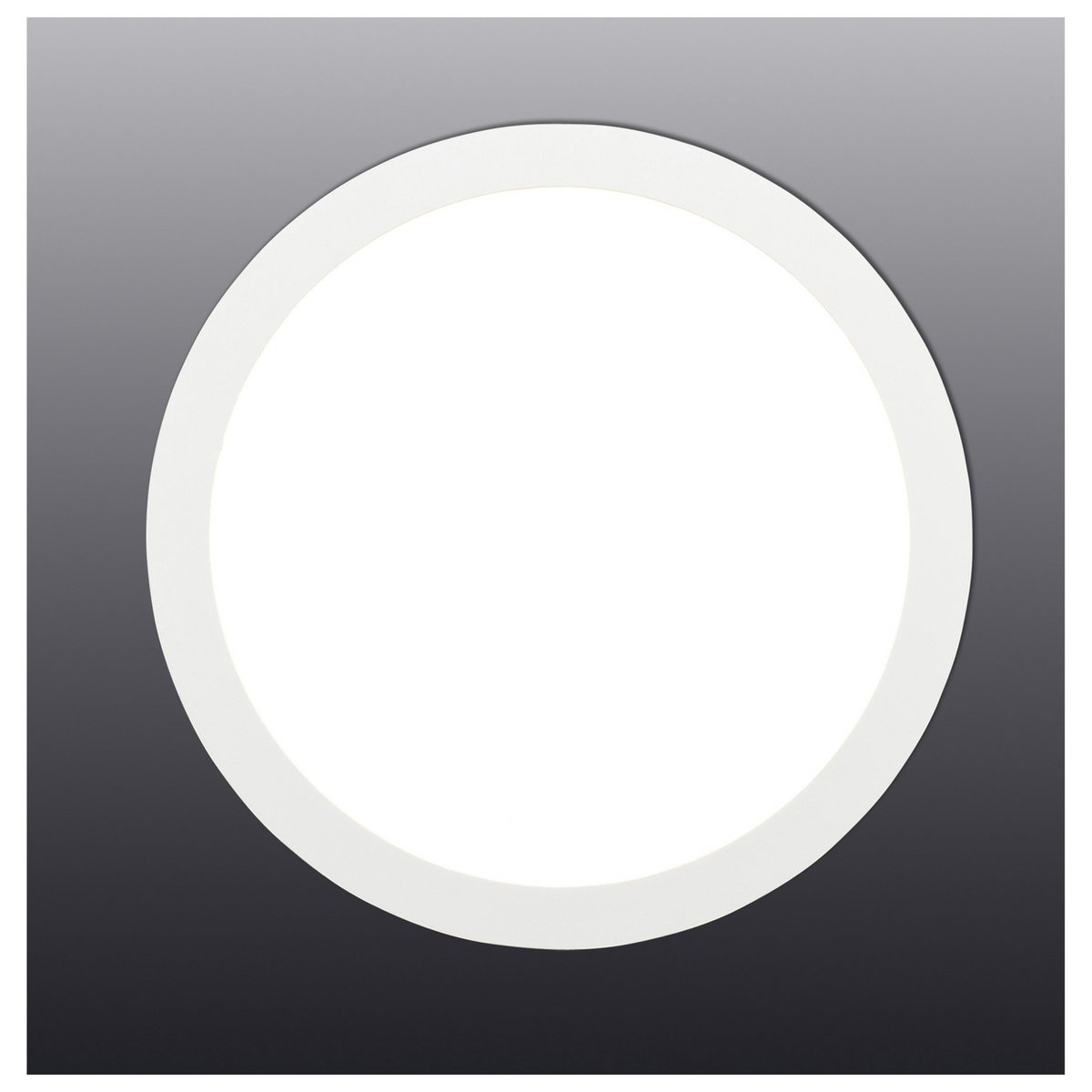 LED montagepaneel dimbaar "Dimplex" d:17,2