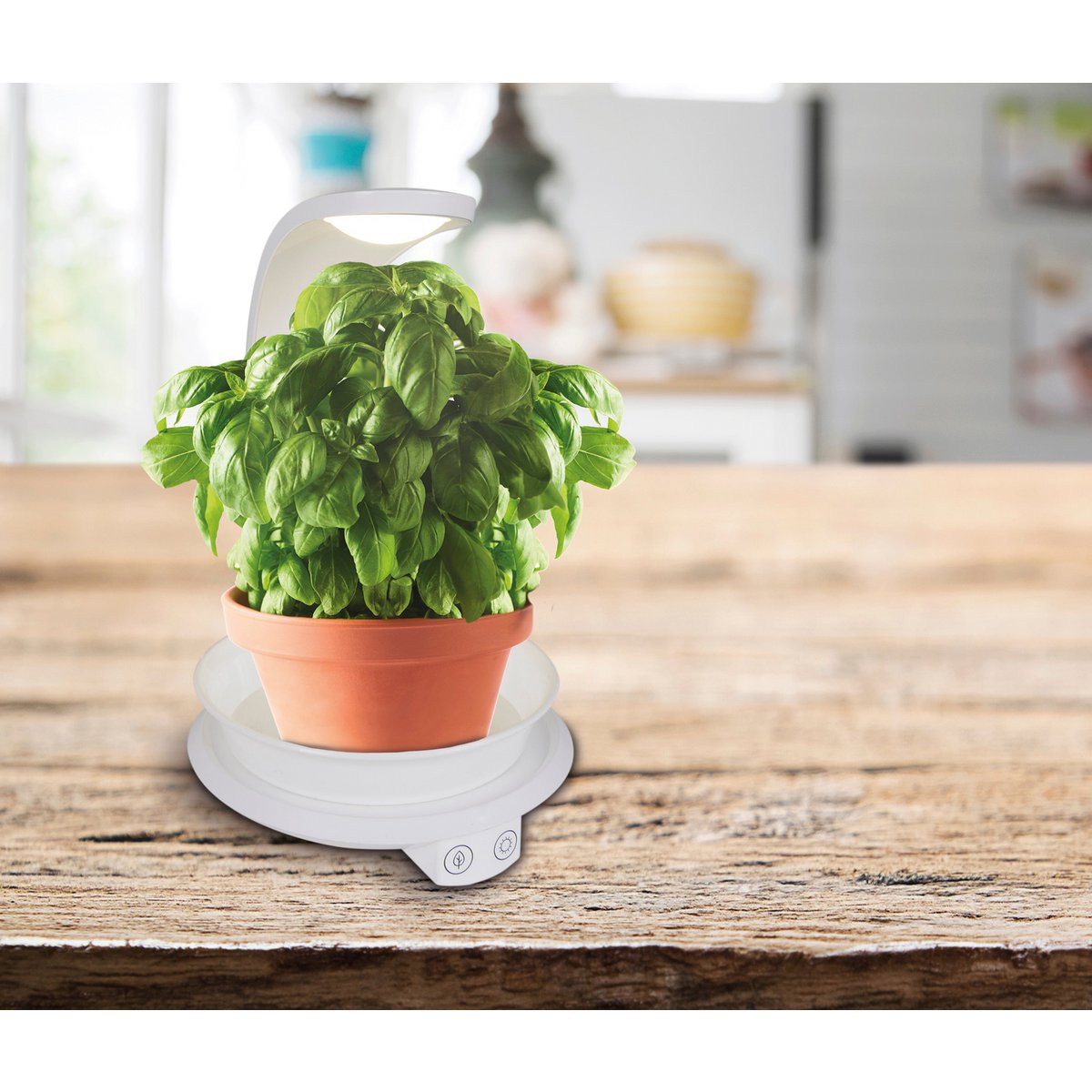 LED -plantentablet Licht 24 cm hoog, gemaakt van metaal en plastic in het wit, met geïntegreerde LED