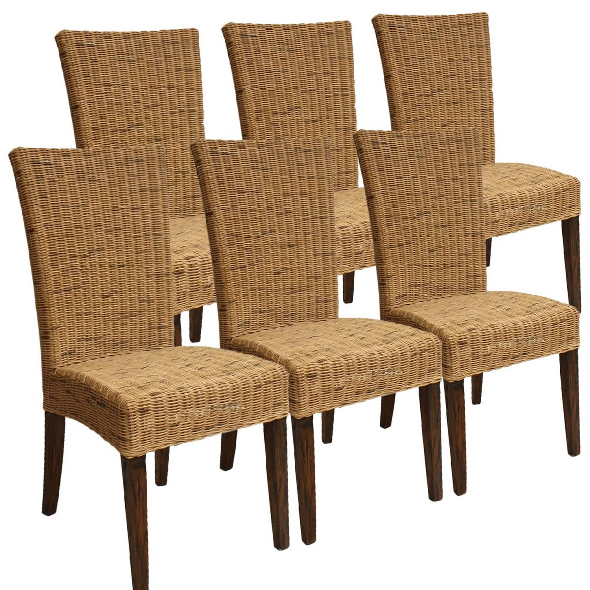 Eetkamerstoelen set 6 -delige rattan stoelen wintertuin gangen cardine cabana