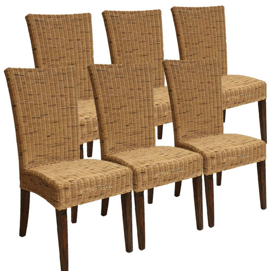 Eetkamerstoelen set 6 -delige rattan stoelen wintertuin gangen cardine cabana