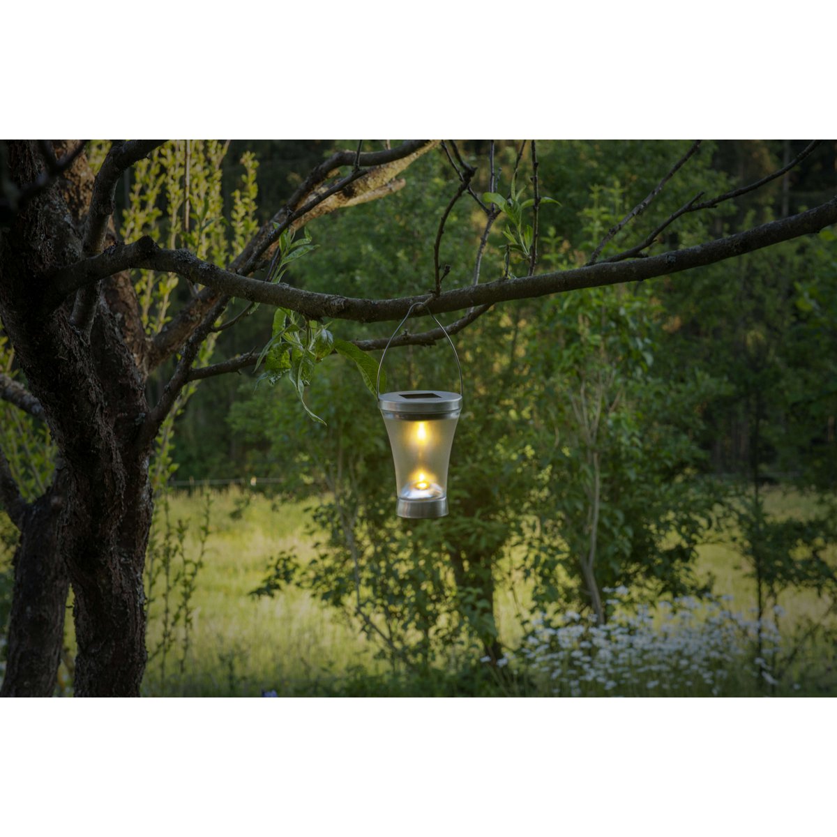 8 Set LED-decoratie Solar Light, voor buiten, gemaakt van metaal en plastic in stalen blanke, geïntegreerde LED