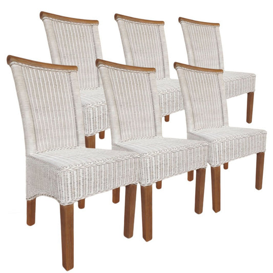 Eetkamerstoelen set rattan stoelen Perth 6 stukken eettafel stoelen witte mand stoelen duurzaam